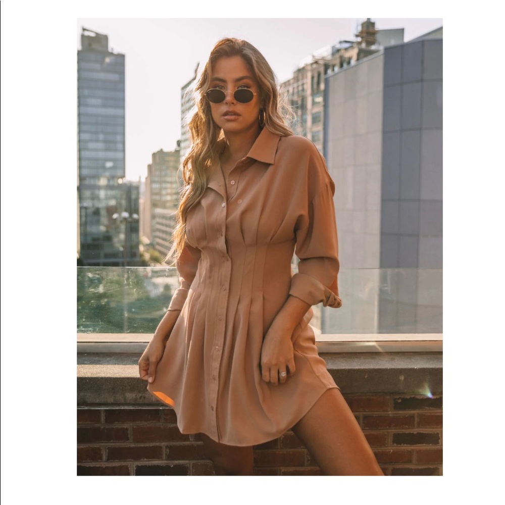 VICI size Medium long sleeve brown fitted dress.